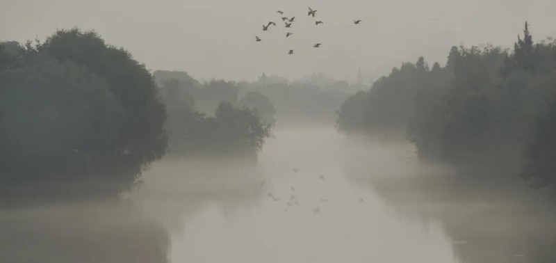 微信图片_20200812111043